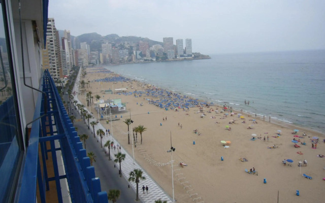 Las Palmeras III- Fincas Arena