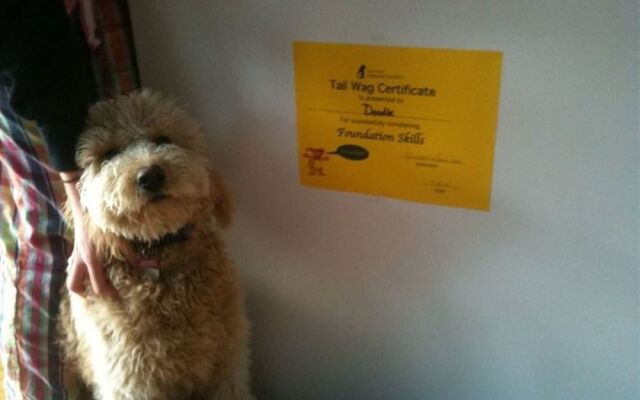 The Trumbull House Bed and Breakfast