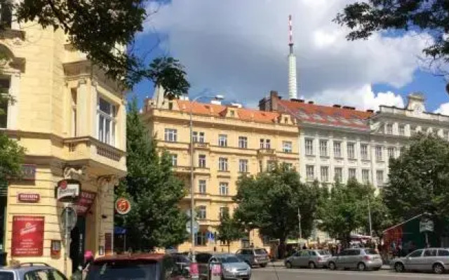 Modern Apartment Riegrovy sady