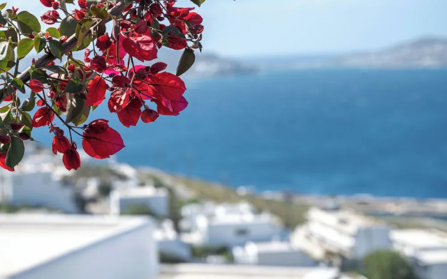 Amelie Suites