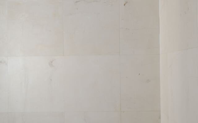 Lotus-5 by Playa District