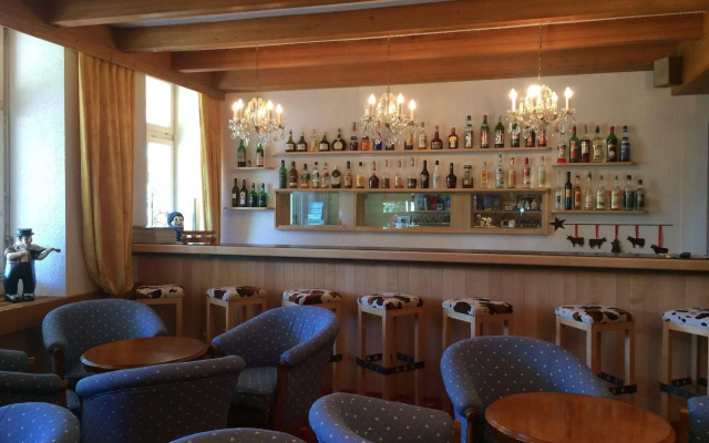 Hotel Bellevue - Traditional Swiss Hideaway