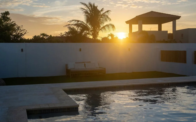 Cadushi Paradise Aruba