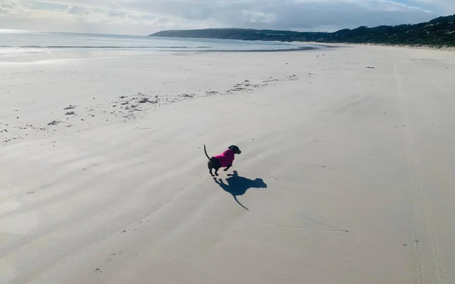 Sunny Brae
