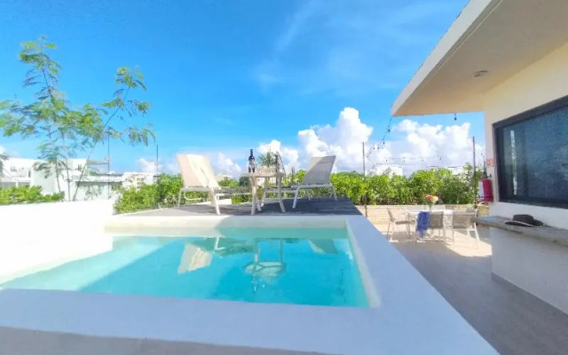 Polos Playa Del Carmen