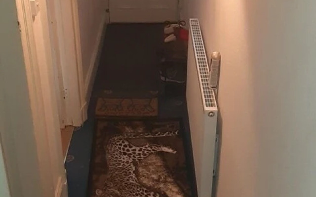 Phoenix Guest House