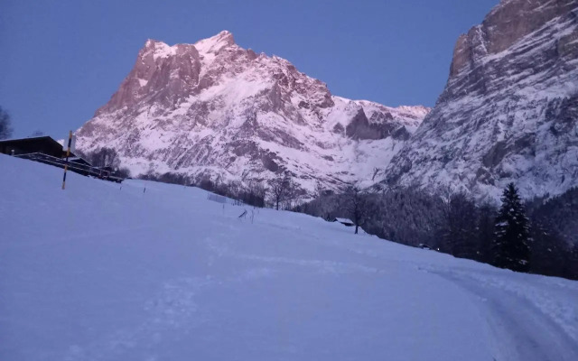 Chalet Pfyffer - Mountain view