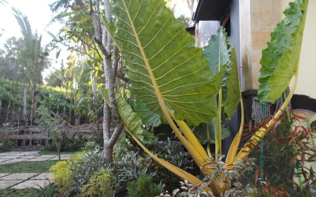 Doni House & Villa