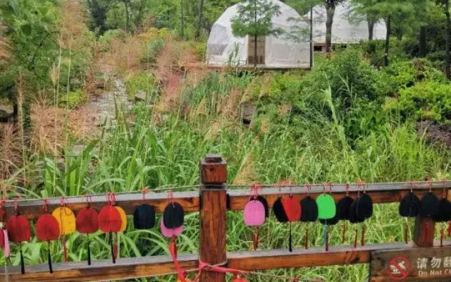 Neoroll Glamping
