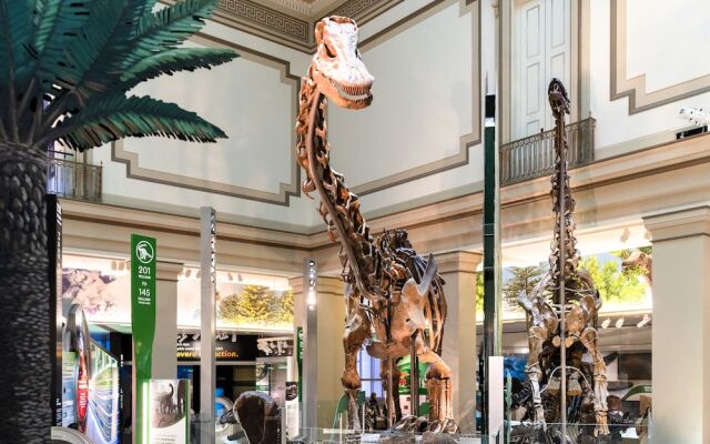 Kasa Alexandria Washington