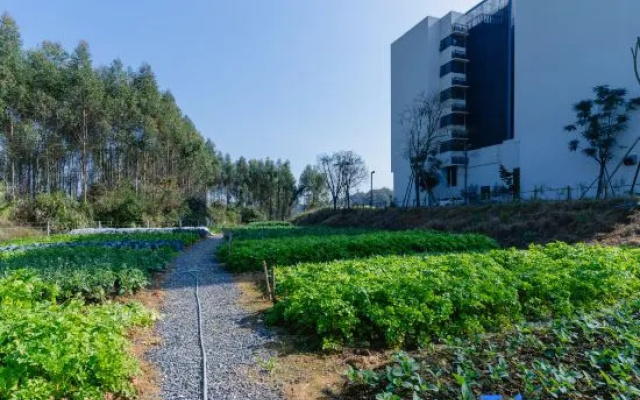 Yunmen 5 Seasons Argyle Resort Hotel