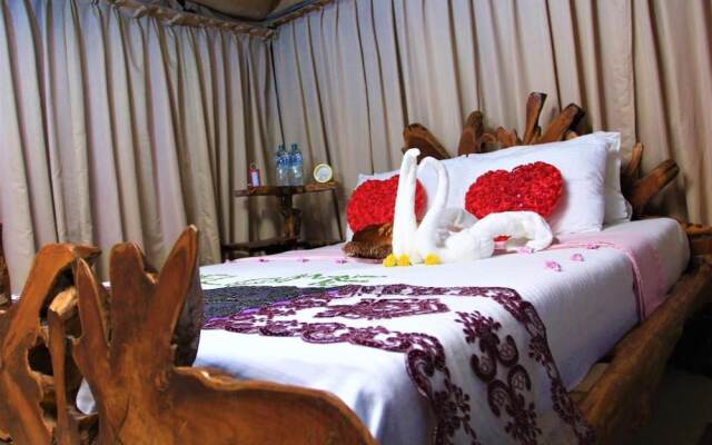 Magical Tented Lodge in Yala- Thissamaharamaya