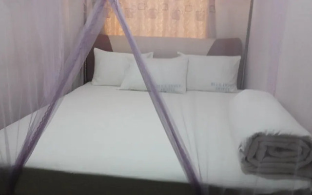 Blue Dove Hotel Arua