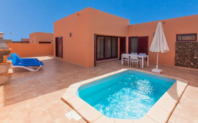 Anahi Home Dracaena 4