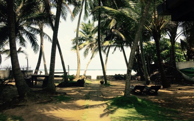 Curry Bowl Restaurant & Turtles Rest