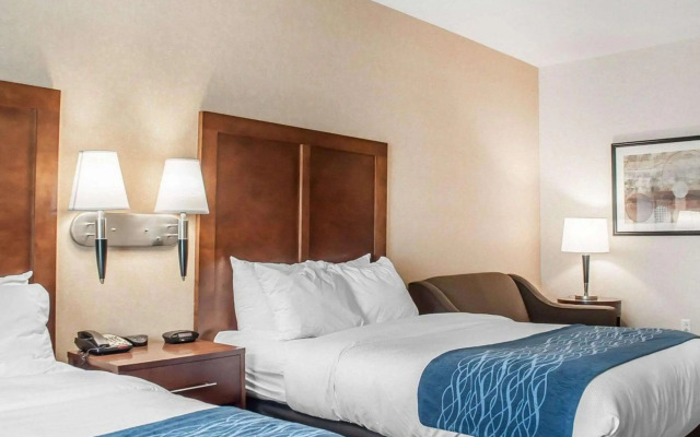 Comfort Inn And Suites Hamburg