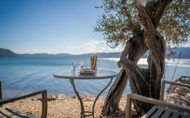 Traditional Architecture Seafront Stone House in 25000sqm Olive Grove - C