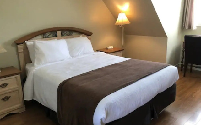 Adventure The Bruce Inn