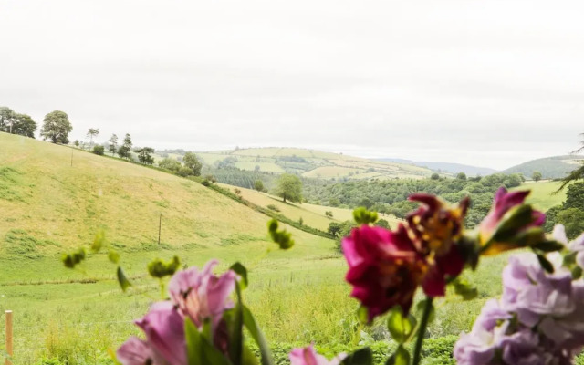 Rolling Hills