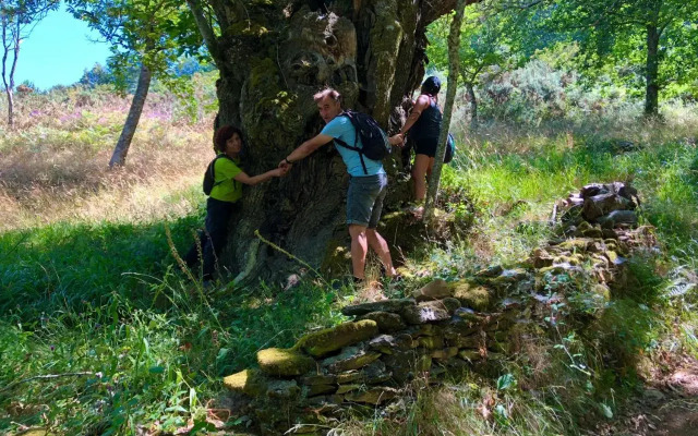 Pensión Blanco Conde