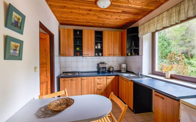 Apartment 547/2 Harrachov