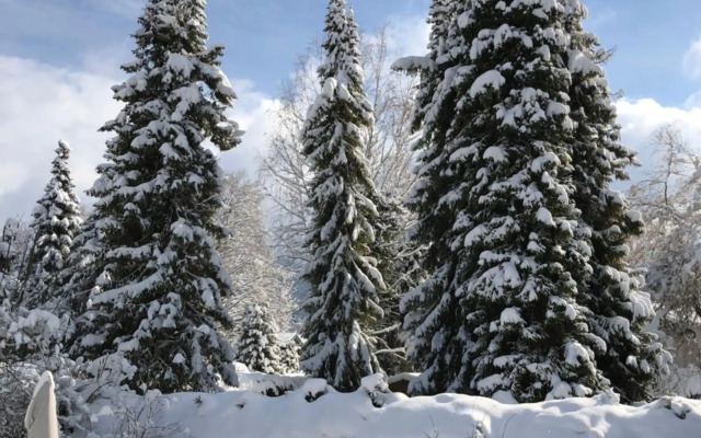 Traumhaftes Ferienhaus direkt am Tegernsee