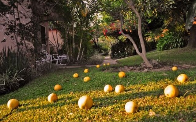 Hotel Bungalows Las Rosas