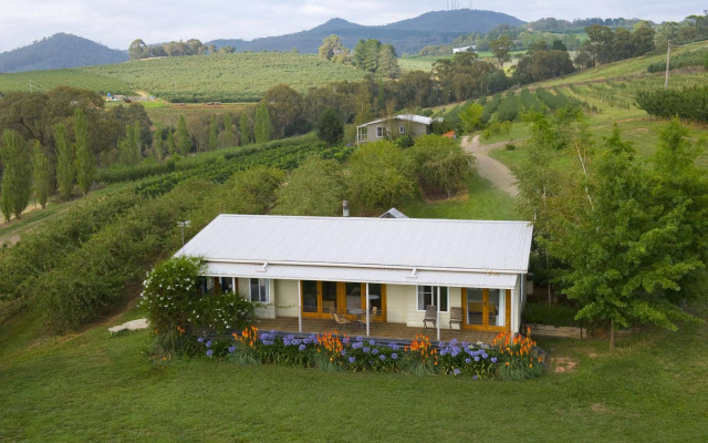 Borrodell Vineyard
