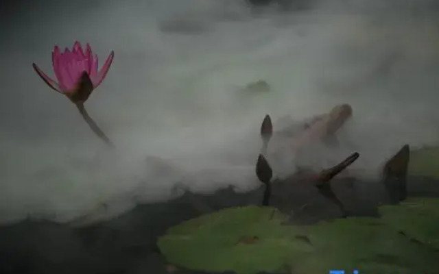 Silver Beach Yuese Hostel