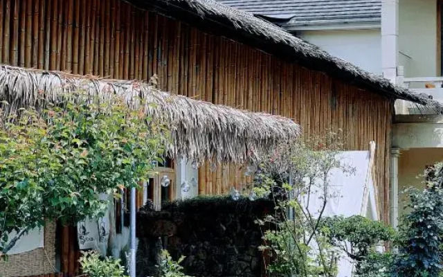 Qingxingul(Anji Yunshang Grassland Store)