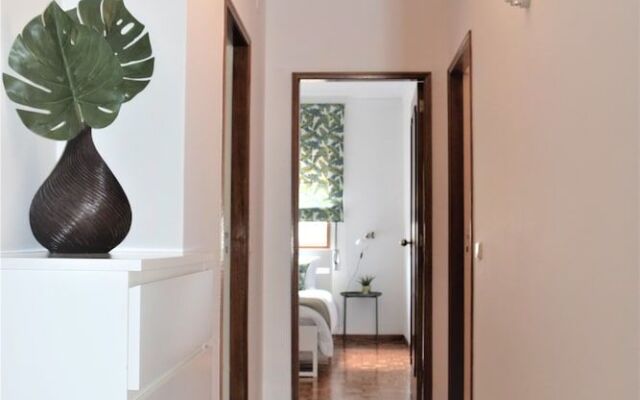 Accommodation Flat Damião de Gois