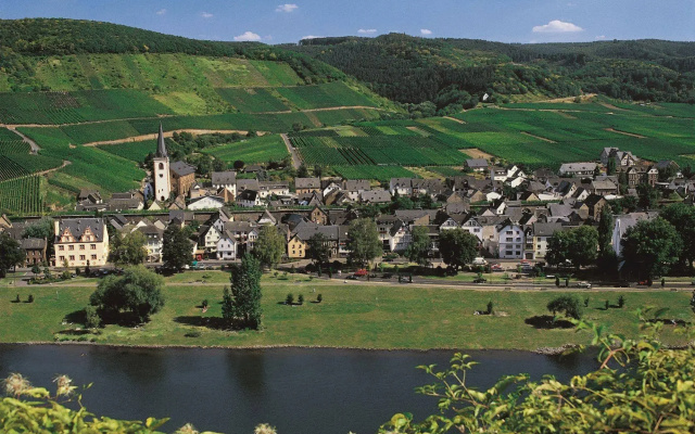 Moselstern Hotel Zum guten Onkel