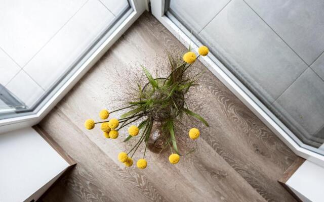 Sambucus Apartments -Premium Apartments for You and Your Dog