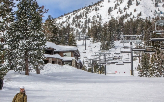 Mammoth Green Condos