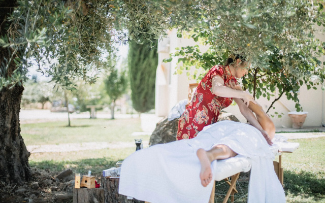 Socrates Organic Village - Wild Olive