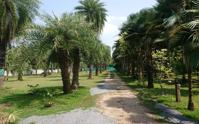Lopburi Palm Resort