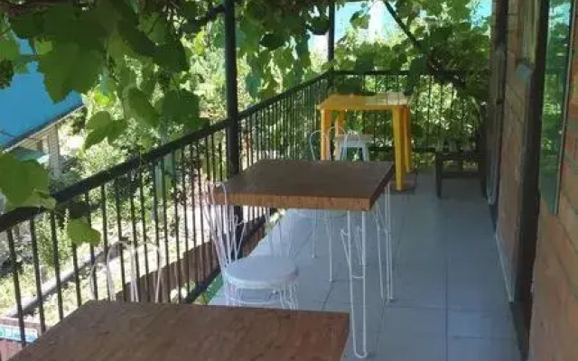 Pod palmoj