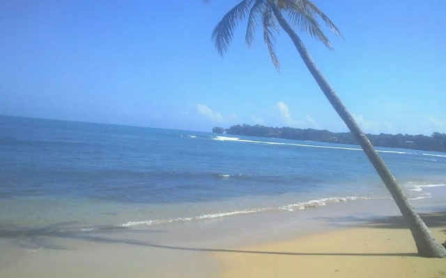Bastimentos Caribean Hotel