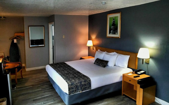 The Metropolitan Inn