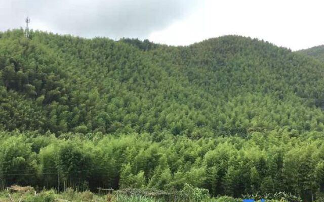 Moganshan lead yunshan family vacation beautiful villa