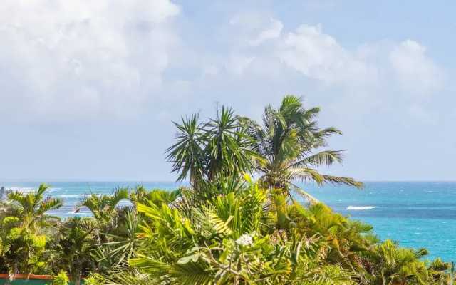 Iguane House Villas & Micro Spa
