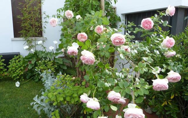 B&B Nautilus on Garda Lake