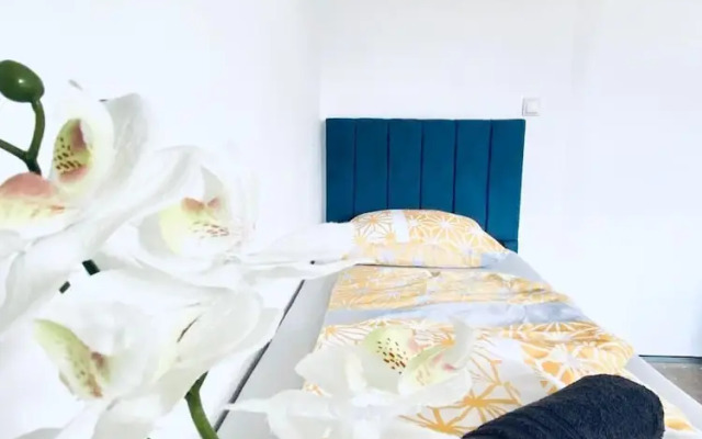 Spacious 4BR for 15 & 15 Min to Danube