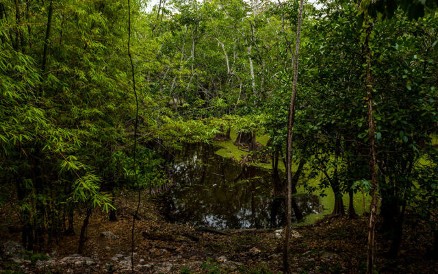 Cenote Popol Vuh