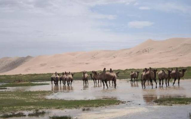 Wonder Mongolia Guesthouse & Tours