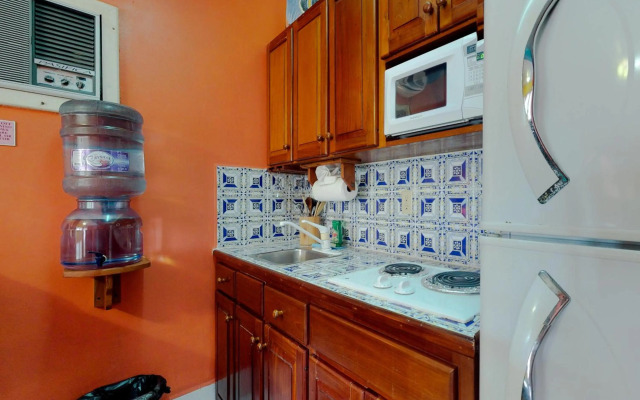 Saponaria 21-22 at Caribe Island Gold Standard Certified