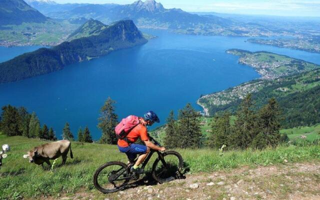 Hotel Continental Park