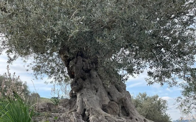 Holiday House Agrigento