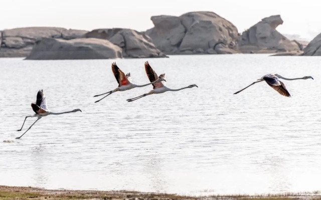 Lords Eco Inn Jawai-Sumerpur