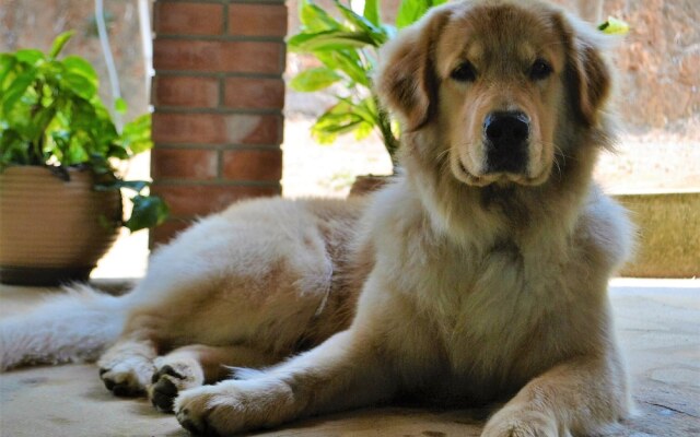 Pousada Encanto da Bocaina